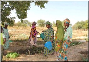 Crise alimentaire en Mauritanie : « L’avenir de milliers d’enfants en jeu… ». 