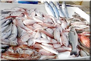  Transparence dans la pêche maritime: Greenpeace salue l'engagement du président mauritanien 