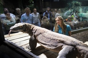 «Liste rouge» UICN: près de 30% des espèces étudiées «menacées»