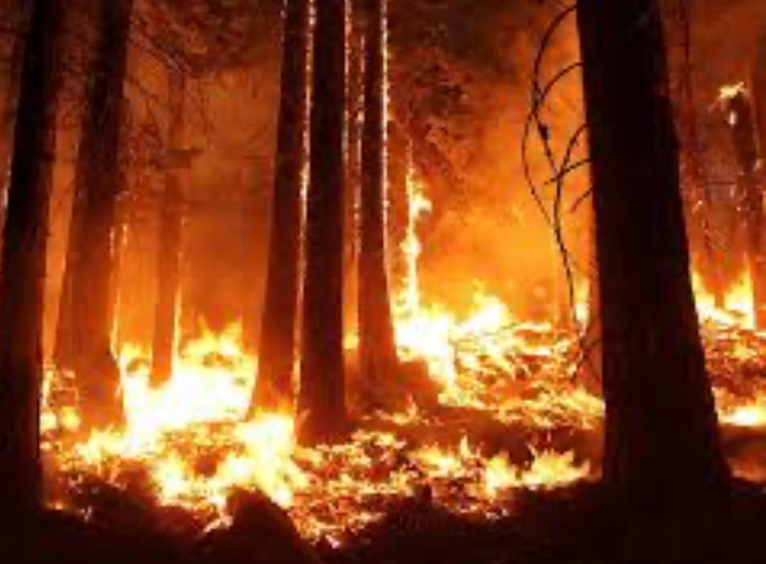 L’Assaba brûle dans l’indifférence : Ténaha appelle au secours