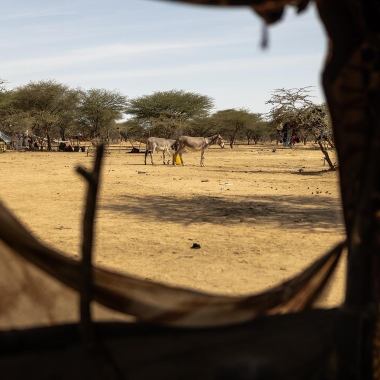 Mali-Mauritanie: «La situation ne va pas se dégrader», estime un ancien responsable de la Sûreté mauritanienne