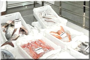 Exportations arabes en poissons : Près de 75% provient du Maroc, Mauritanie et Egypte 