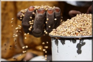 FAO : la Mauritanie a besoin d’une aide alimentaire