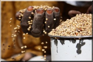  Les trois quarts des mauritaniens vivent dans une pauvreté extrême selon la FAO