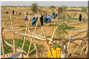 Rencontre des météorologues à Nouakchott : La sécheresse plane sur la Mauritanie