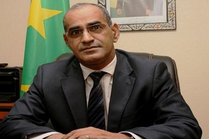 Mauritanie : un million de tonnes de pélagiques capturées par an 