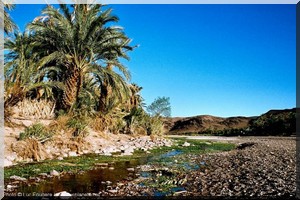 SIAM 2016: Oasis, Maroc et Mauritanie même combat