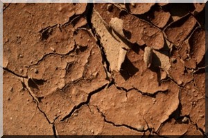 Renforcement de la coopération Sud-Sud en matière d’échanges d’expériences dans la préservation de sols 