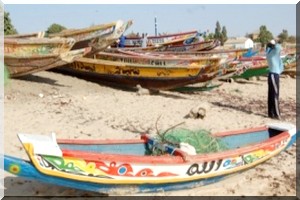  Non renouvellement des licences de pêche : 8.000 pêcheurs de Saint-Louis à quai 