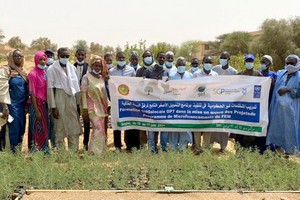 Boghé : les ONGs locales face aux grands problèmes d’environnement [PhotoReportage]