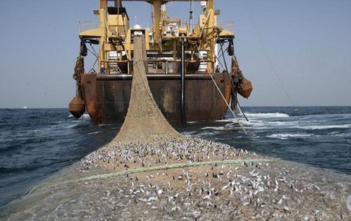 Accord de pêche UE-Mauritanie : la Lettonie tire la sonnette d'alarme sur l'avenir de la flotte européenne 