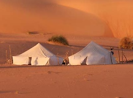 Fermeture des restaurants traditionnels Al Bawadi : Un coup dur pour l'emploi et l'entrepreneuriat mauritanien