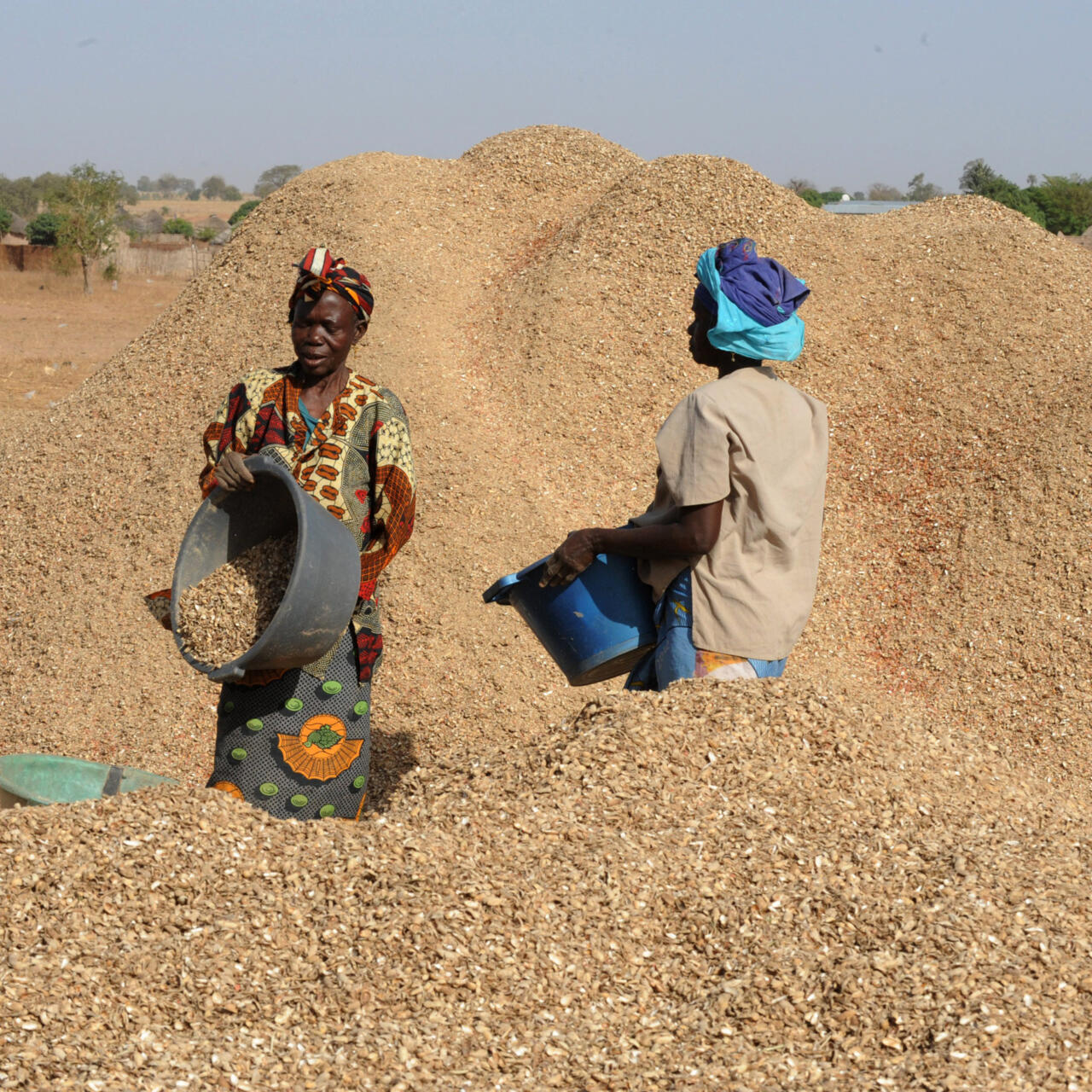 Le Sénégal suspend l’exportation d'arachide pour encourager la transformation locale