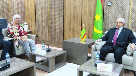 Coopération Mauritanie–Allemagne : le Président de l’Assemblée nationale reçoit une délégation allemande de haut niveau
