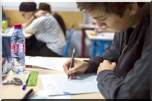 France : Les perles du bac 2013