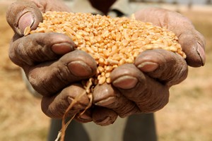 Greenpeace interpelle les gouvernements de la Mauritanie, du Sénégal et de la Gambie