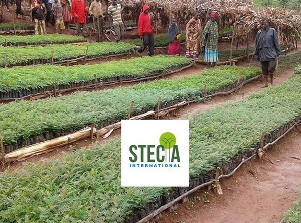 Digital Tunisia accompagne les entreprises au Sénégal et en Mauritanie 