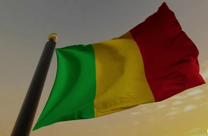 Au moins 50 militaires tués dans une attaque des indépendantistes et des jihadistes au Mali 