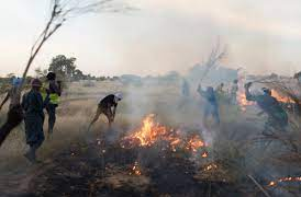 Bassiknou : les feux de brousse réduits à 60% par rapport à l’année dernière