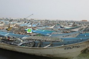 Grève générale des pêcheurs artisanaux