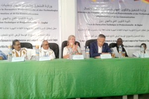 Boghé (Brakna) : Travailler, travailler et encore travailler [PhotoReportage]