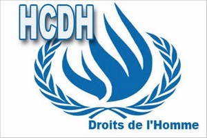 Présidence du Comité des droits de l’homme de l’ONU : La Tunisie, l’Égypte et la Mauritanie ont voté pour un israélien