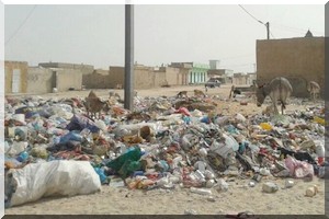 Ordures : retour de la décharge du cimetière PK7