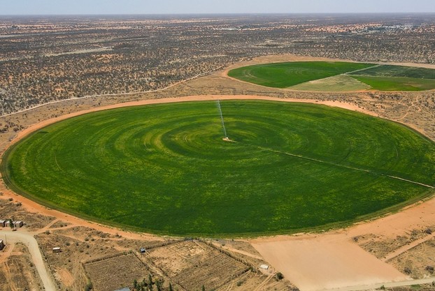 Code des investissements 2025 : la Mauritanie modernise son cadre juridique pour renforcer le secteur privé