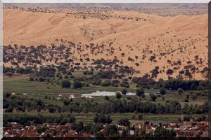 La Mauritanie protège ses cultivateurs des aléas météo 