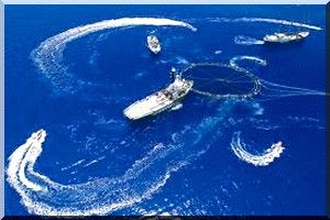 La surpêche est bien le fait des hommes d’affaires