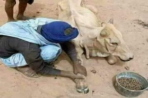 Catastrophe humanitaire dans la commune de Nsaveni et l’ONG Emel s'apprête à lancer une campagne d’urgence