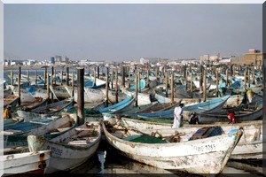 Journées ouvertes sur le secteur de la pêche à Nouadhibou