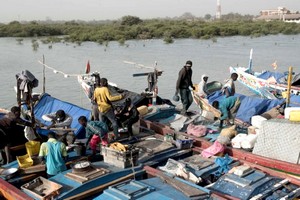 La Mauritanie accorde 400 nouvelles licences aux pêcheurs sénégalais