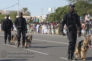 Exportation frauduleuse de poisson vers le Mali déjouée par la gendarmerie