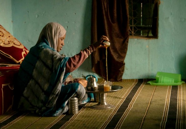 Programmes USAID en Mauritanie – Le projet Borgen