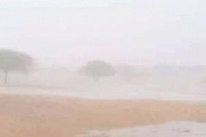 Mauritanie : alerte internationale contre le recul des récoltes agricoles!