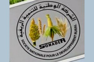 Scandale, discrimination et légèreté au sujet de l’Inspection de la SONADER et l’arrestation du DG de la SONADER et son staff