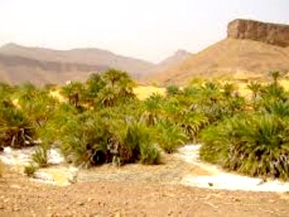 Saison touristique 2025-2026 en Mauritanie : un dernier vol boucle une édition record à Atar