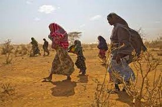 Situation des Sénégalais et migrants en Mauritanie : la RADDHO appelle au respect des engagements internationaux et régionaux