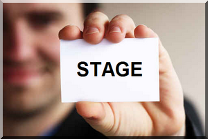 Stage de pré-embauche - Développeur Web HTML5 (Javascript ,AngularJS ,JQuery , CSS3)