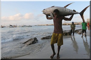 Préserver les stocks de poisson pour renforcer la résilience climatique sur les côtes africaines