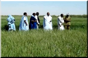 Grosse inquiétude des syndicats agricoles