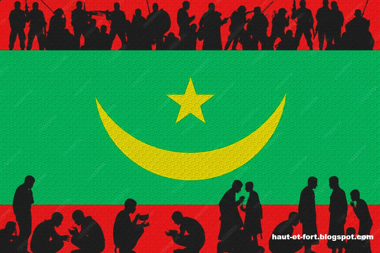 TSII: La Mauritanie sous perfusion. Par Pr ELY Mustapha